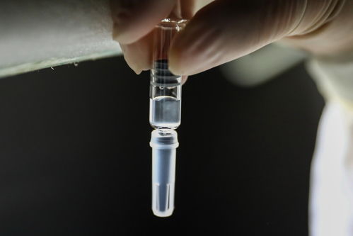 巴西研究機構(gòu) 中國科興疫苗能有效抵抗兩種變異新冠病毒