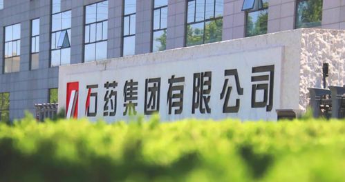 創(chuàng)新百強 綠色工廠 石藥兩子公司獲殊榮