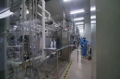 張江這個基地每天都在生產救命藥 以更低價格惠及更廣患者