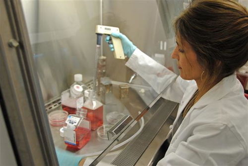 collplant加入生物打印聯盟remdo,為3d打印器官開發bioink