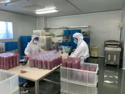 送政策、送口罩、幫復工 政府幫助虹口這家企業3天研制出病毒采樣管