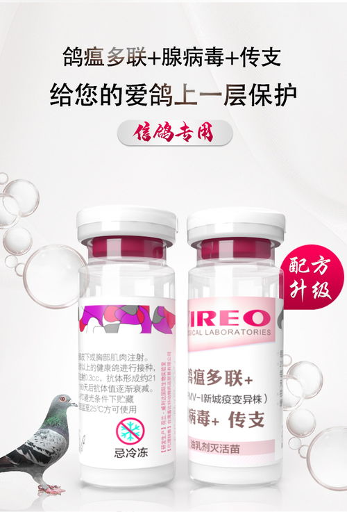 復合新城疫 腺病毒 傳支三聯滅活疫苗產品展示