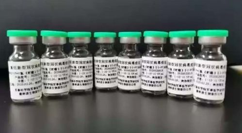 生物疫苗 醫(yī)療器械 中藥龍頭,2天2板,兩個月暴漲320 ,還有幾倍空間