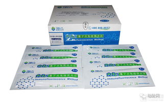 新賽亞生物 已上市12款poct產(chǎn)品,應(yīng)用量子點技術(shù)創(chuàng)新研發(fā)首款幽門螺旋桿菌分型試劑