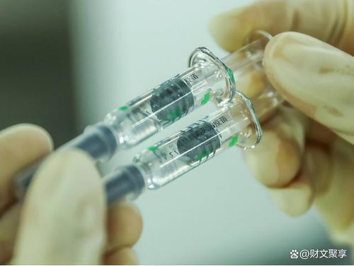 二陽(yáng)來襲 有醫(yī)院陽(yáng)性率超50 ,第二波疫情或已到來