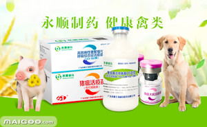 永順疫苗品牌簡介 永順豬用疫苗 永順禽用疫苗怎么樣 十大品牌網