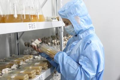 遼寧三友農業生物科技