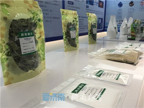 抓項目抓復產 全省重點外商投資項目推進會舉行 濟南設三個分會場視頻連線