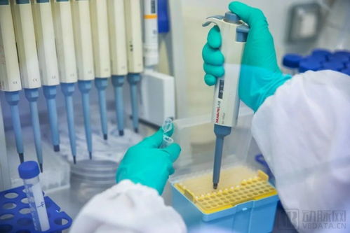 親合力生物母公司亞飛生物完成b1輪融資,加速創新產品管線研發