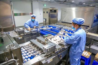 全國人大代表、華蘭生物董事長安康再發(fā)聲:研發(fā)不會缺席,會生產(chǎn)出新型疫苗
