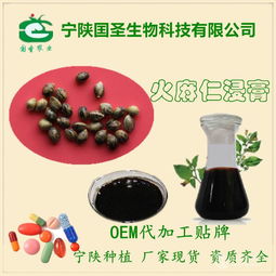 火麻仁浸膏 火麻仁提取液 寧陜囯圣 專業(yè)植提 oem代工 壓片糖果價格,產(chǎn)品報價