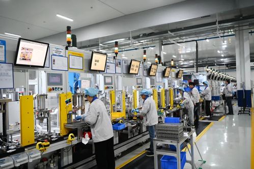 泰州姜堰 研發創新全生命周期產品 不老松 ,讓產業 大樹 匯聚成林