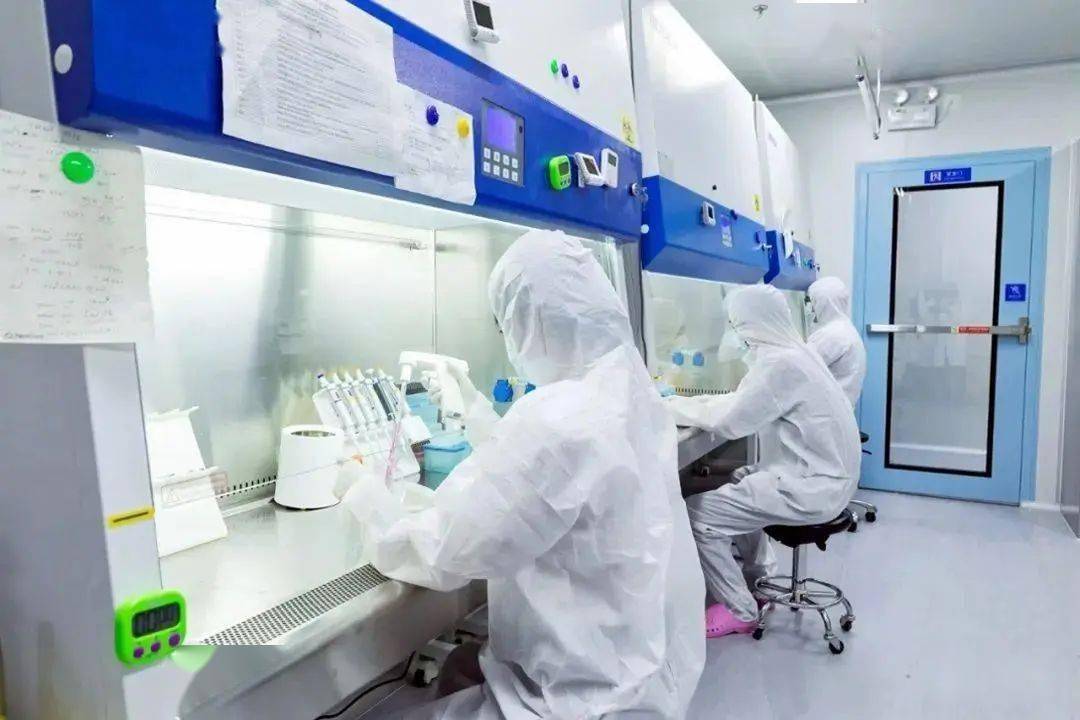 新合生物:mRNA個性化腫瘤新抗原疫苗IND獲受理