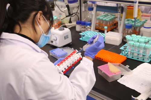 聚焦武漢解碼中部引擎 探訪光谷生物城